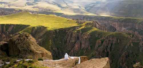 در میان شقایق مظلومی