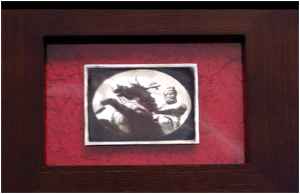 نمایشگاه عکس‌ داگروتیپ در عکسخانه شهر