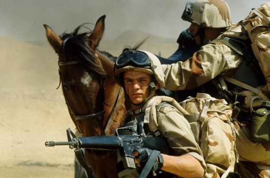 flanders برونو دومن